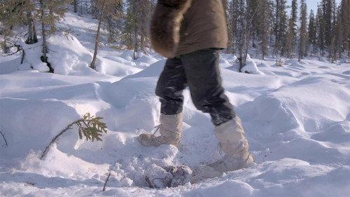 Life Below Zero: Next Generation Season 6 Episode 10 - Year of the Wolf