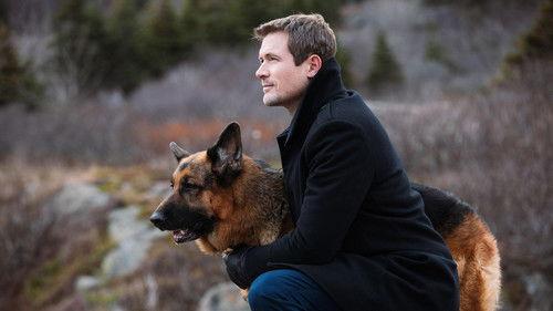 Hudson & Rex Season 3 Episode 9 - Grave Matters