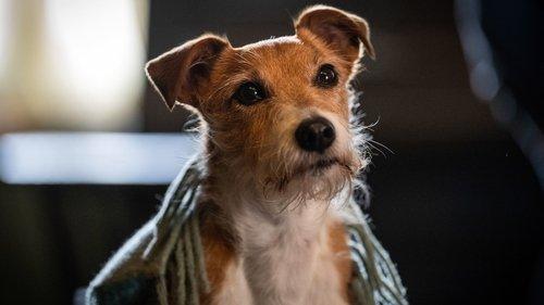 Call the Midwife Season 12 Episode 6 - Episode 6