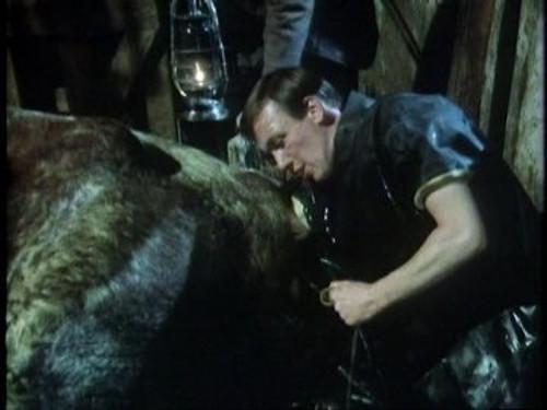 undefined Season 2 Episode 12 - Pups, Pigs and Pickles