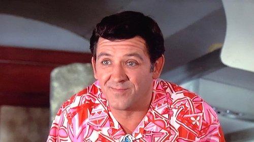 Mayberry R.F.D. Season 2 Episode 10 - Palm Springs, Here We Come