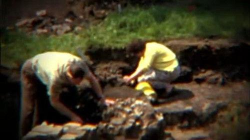 Time Team Season 9 Episode 6 - An Ermine Street Pub - Cheshunt, Hertfordshire