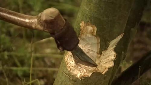 Time Team Season 6 Episode 10 - Field Cropmarks - Kemerton, Worcestershire