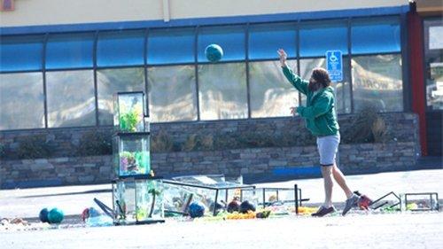 The Last Man on Earth Season 1 Episode 2 - The Elephant in the Room