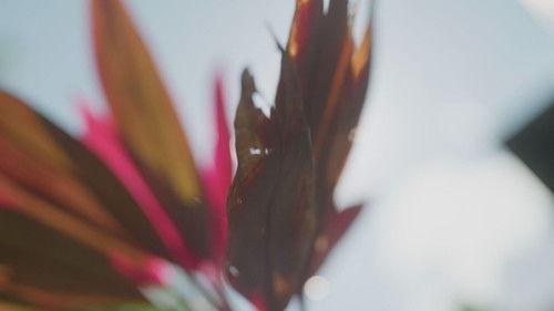 The Real Housewives Ultimate Girls Trip - South Africa Season 1 Episode 8 - Black & White