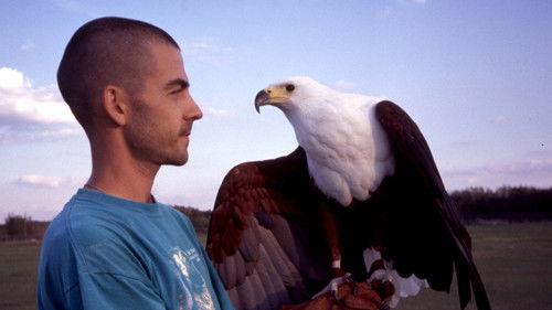 Nature Season 19 Episode 3 - Extraordinary Birds