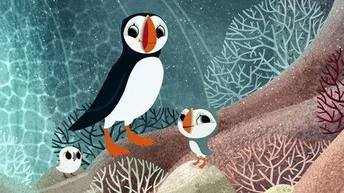 Puffin Rock Season 1 Episode 34 - Cave Camping