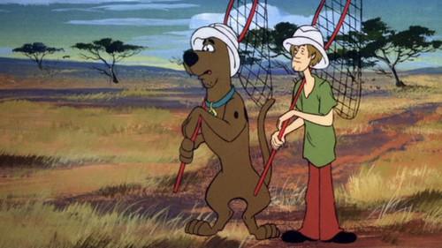 Scooby-Doo and Scrappy-Doo Season 2 Episode 15 - A Bungle in the Jungle