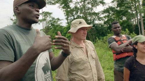 Expedition with Steve Backshall Season 2 Episode 4 - Gabon