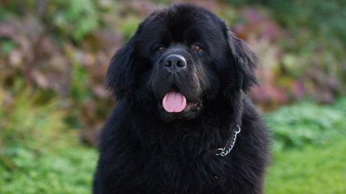 From bully to best friend Season 1 Episode 3 - Episode 3