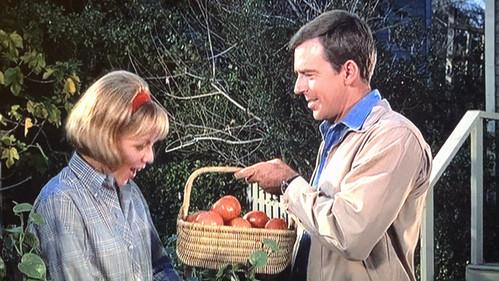 Mayberry R.F.D. Season 1 Episode 20 - Sam the Expert Farmer