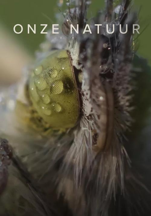 Our Nature poster