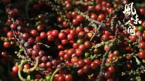 Once Upon a Bite Season 5 Episode 1 - What It Is That Small Makes Special