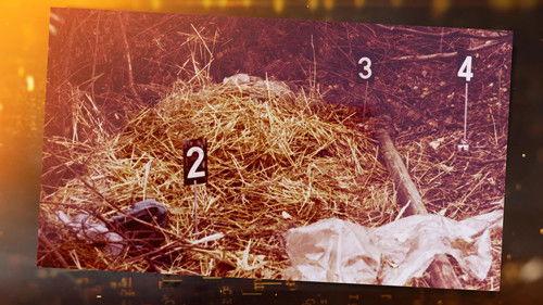 Ermittler! Season 8 Episode 20 - Episode 20