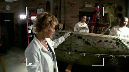 NCIS Season 3 Episode 4 - Silver War