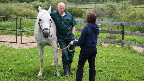 The Incredible Dr. Pol Season 7 Episode 4 - Dr. StrangeGlove
