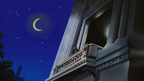 Background image for Who Wrote the Love Letter?