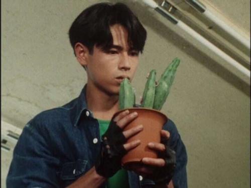 Gosei Sentai Dairanger Season 1 Episode 34 - A Prickly Maiden Hunt