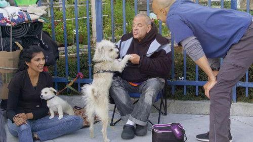 The Street Vet Season 1 Episode 9 - Monterey Zoo