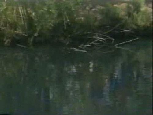 Hey Dude Season 3 Episode 11 - Melody's Brother