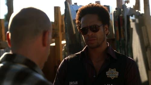 CSI: Crime Scene Investigation Season 6 Episode 6 - Secrets and Flies