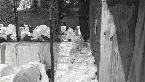 Big Brother Célébrités Season 6 Episode 12 - Episode 12