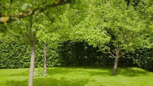 Natur im Garten Season 26 Episode 10 - Episode 10