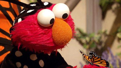 Sesame Street Season 48 Episode 20 - Elmo's Butterfly Friend