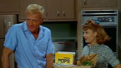 Family Affair Season 1 Episode 4 - The Matter of School