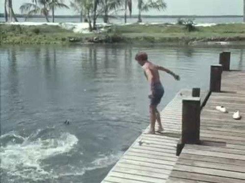 Flipper Season 2 Episode 1 - Flipper and the Mermaid