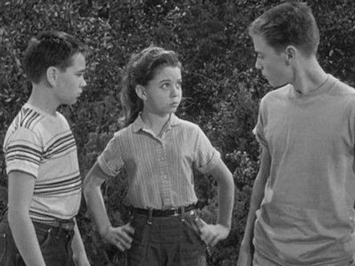 The Hardy Boys Season 1 Episode 9 - Boys In Trouble