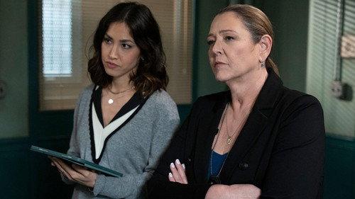 Law & Order Season 23 Episode 12 - No Good Deed