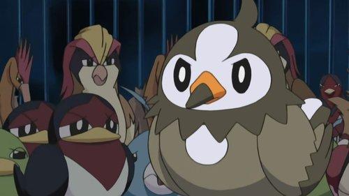 Pokémon Season 10 Episode 13 - A Staravia Is Born!