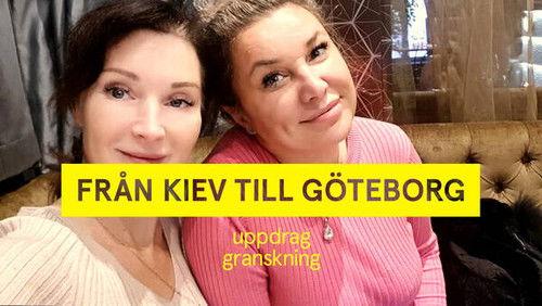 Uppdrag granskning Season 22 Episode 13 - Episode 13