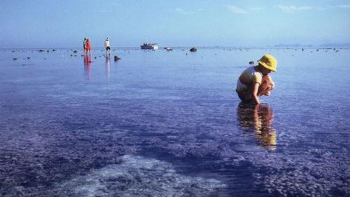 Australian Story Season 22 Episode 4 - Into Hot Water