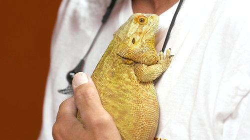 Dr. K's Exotic Animal ER Season 5 Episode 6 - Great Eggspectations