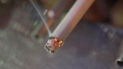 NOVA Season 29 Episode 1 - Search for a Safe Cigarette