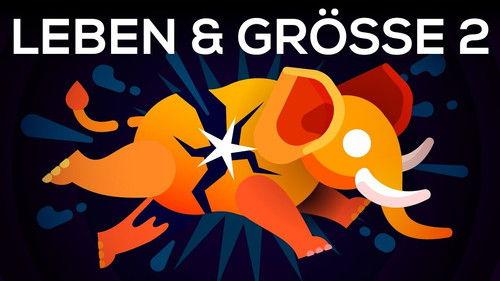 Kurzgesagt - In a Nutshell Season 5 Episode 17 - How to Make an Elephant Explode (The Size of Life #2)