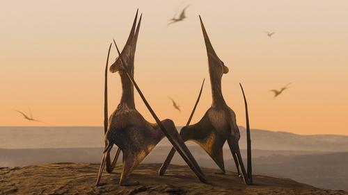 undefined Season 1 Episode 2 - Deserts