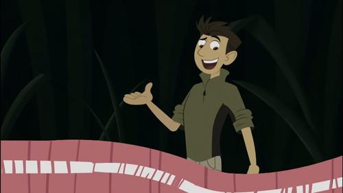 Wild Kratts Season 1 Episode 5 - Mystery of the Squirmy Wormy