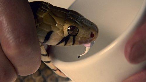 undefined Season 1 Episode 6 - Gu Assassins