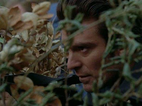 undefined Season 3 Episode 8 - Flesh and Blood