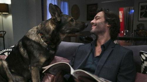 Inspetor Max Season 5 Episode 3 - A Caminhada