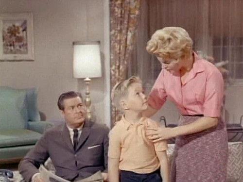 Hazel Season 2 Episode 17 - A Good Example for Harold