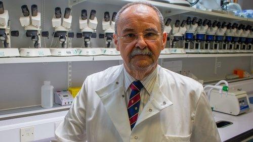 Background image for The Saturday Night Strangler