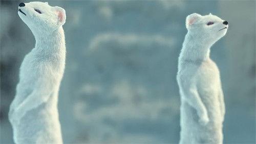 Candle in the Tomb: The Weasel Grave Season 1 Episode 6 - Episode 6