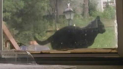 Court Cam Season 7 Episode 22 - #722