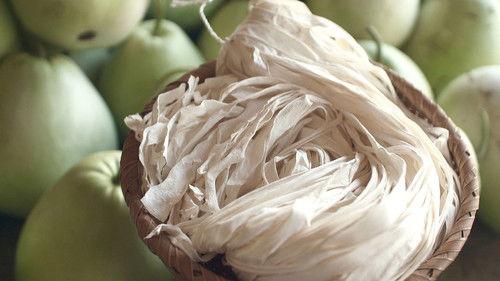 Background image for Cultivating a Taste for Summer Vegetables