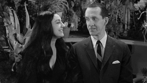 The Addams Family Season 1 Episode 12 - Morticia, the Matchmaker