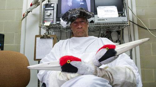 Somebody's Gotta Do It Season 1 Episode 2 - Raising Crane